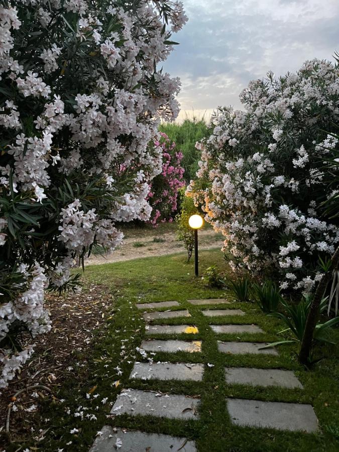 Hotel Frassetto Санта Тереза Галура Екстериор снимка